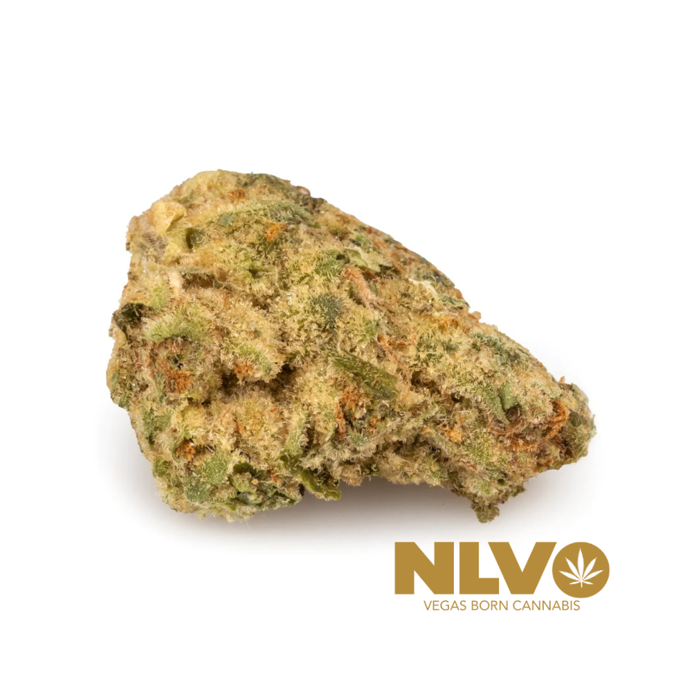 nlvo-motor-home-for-sale-the-source-dispensary